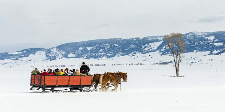 16 National Elk Refuge.jpg